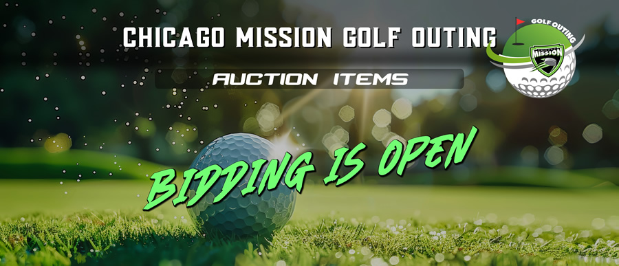 Auction_Open